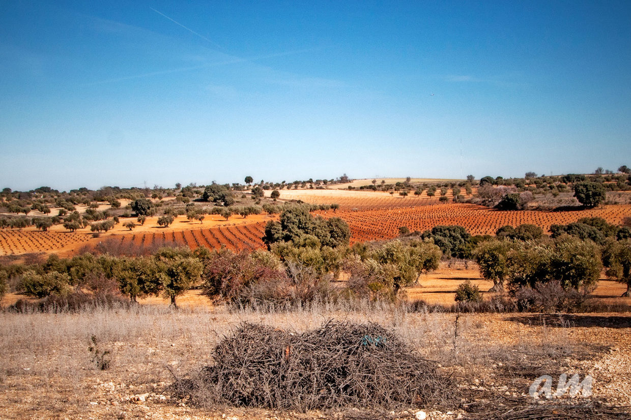 BELMONTE DE TAJO Antonio Martínez